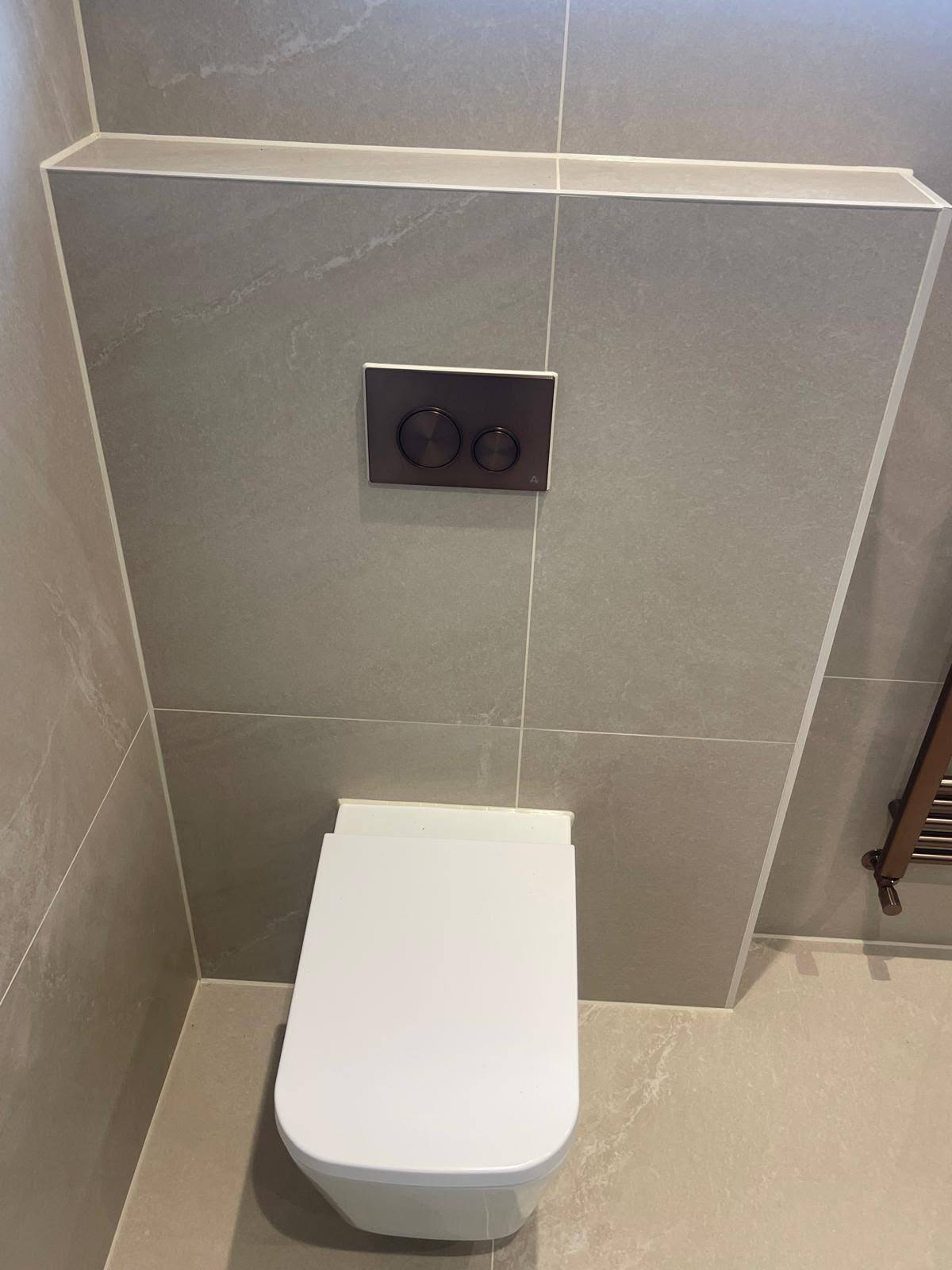 Wall-hung toilet and flush plate sealed neatly to a tiled ledge